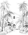 Image Not Available